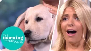 This Morning Has a New Puppy With a Purpose! | This Morning