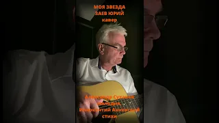 Заев Юрий, песня Моя звезда, кавер, Ижевск 2024 год/Заев Юрий*Селянин