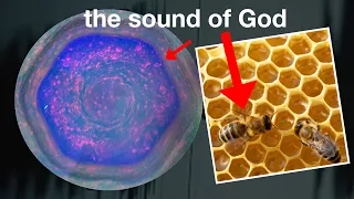 The Sound That Transforms Every Cell in Your Body (the sound of God)