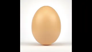 Egg