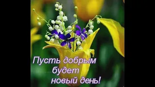 Пусть добрым будет новый день!🌹🌹🌹🦋🦋🦋