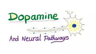 Dopamine & Neural Pathways - Physiology & Pharmacology