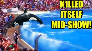 INCREDIBLE That 7 Captive Animals Have Ended Their Lives!