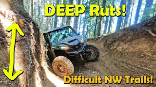 Evans Creek has the BEST NW OFF ROAD Trails? - Yamaha RMAX | Part 6