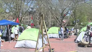 Pro-Palestine protests take over University of Michigan Diag