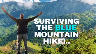 Hiking the Highest Mountain in Jamaica