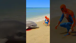 GTA V SPIDER MAN SAVING DOLPHIN FROM VENOM #shorts | GERINGG