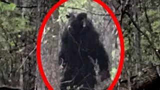 5 Goatman Captados En Cámara En La Vida Real