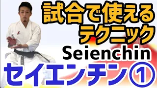 試合で使えるテクニック　セイエンチン①　Techniques Seienchin Karate 空手 からて Kata 形　Ryusensei りゅう先生　りゅうチューブ