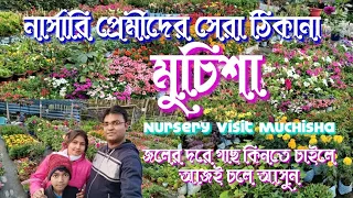 মুচিশা নার্সারী|Muchisha Nursery|cheapest plant nursery in muchisa|Best nursery of muchisha|muchisa