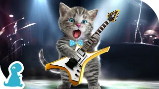 CARTOON LITTLE KITTEN ADVENTURE - KITTEN ROCK MUSIC! KIDS FUN DANCE - MUSIC FOR KIDS