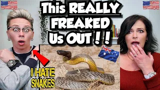 American Couple Reacts: AUSTRALIA'S 10 Most Dangerous Animals! FIRST TIME REACTION! *DON'T MISS THIS