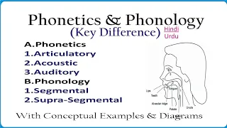 Phonetics and Phonology| key Difference & Similarities| in Hindi & Urdu| Linguistics