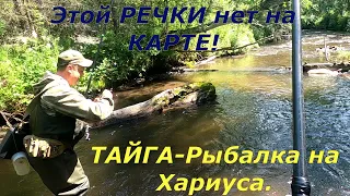 Ловля ХАРИУСА в глубине ТАЙГИ на ПОТЕРЯННОЙ Речушке/Трудовой ПОХОД,поймать РЫБЫ любой ценой!