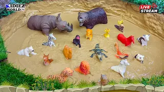 Learn about Wild Animal for Kids | Cleaning Muddy Toys Animals | Kid's Fun Learning