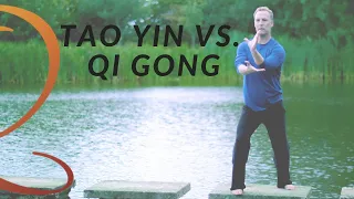 Tao Yin vs. Qi Gong: What's The Difference? Master Qi Gong Teacher Lee Holden Answers