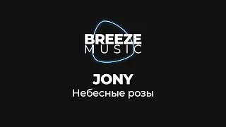 JONY - Небесные розы | Текст песни