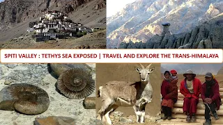 SPITI VALLEY:TETHYS SEA EXPOSED | TRAVELING AND EXPLORING THE TRANS-HIMALAYA| LAHAUL AND SPITI INDIA