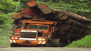 This monster wood logging truck operator is INCREDIBLE. Dangerous heavy equipment truck driving