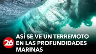 Así se ve un terremoto en las profundidades marinas