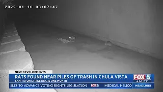 Rats Found Near Piles Of Trash In Chula Vista