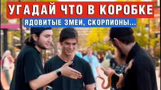 ЧЕЧЕНЦЫ УГАДЫВАЮТ | ЧТО В КОРОБКЕ | ЯДОВИТЫЕ ЗМЕИ | СКОРПИОН