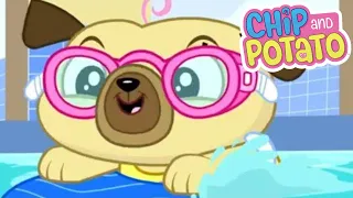 Chip and Potato | Chip's Swimming Lesson | Cartoons For Kids | Watch More on Netflix