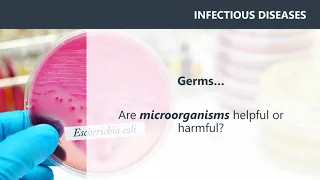 Module 6 Infectious Disease