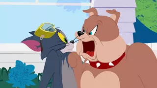 The Tom and Jerry Show - Dog Daze - Funny animals cartoons for kids