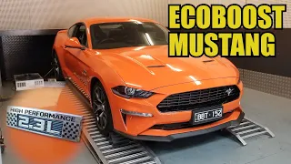 Four-Cylinder Ecoboost Mustang On The Dyno