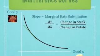 Introduction to Indifference Curves and Budget Lines Economics