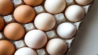 So legen deine Hühner mehr Eier!