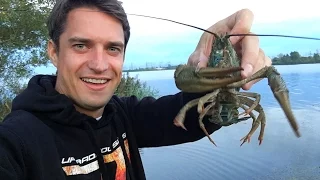 HUNTING FOR CRAYFISH UNDERWATER