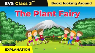 Class 3 EVS NCERT Chapter 2 | The Plant Fairy - Explanation & Exercise