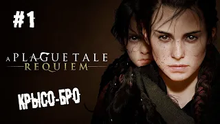 Маленький повелитель крысюк ► 1 Прохождение A Plague Tale: Requiem