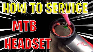 How To Service the Mountain Bike Headset! 🛠️ MTB maintenance tutorial step by step!