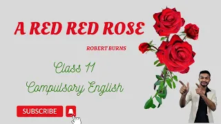 A Red Red Rose Summary in Nepali | Analysis in English | Class 11 Compulsory English | NEB