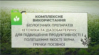 КОМПЛЕКСНЕ ВИКОРИСТАННЯ БІОЛОГІЧНИХ ПРЕПАРАТІВ ХЕТОМІКА ТА ДІАЗОБАКТЕРИНУ ДЛЯ ПІДВИЩЕННЯ ПРОДУКТИВНО