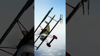 When an Australian shot down the Red Baron!