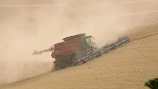 Harvest on the Palouse