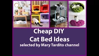 Cheap DIY Cat Bed Ideas