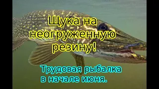 Щука на неогруженную резину! Трудовая рыбалка в начале июня.