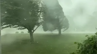 Powerful Derecho destroys Trees