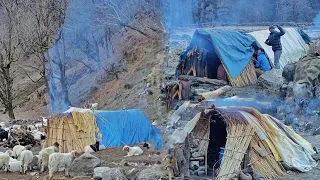 Nepali Mountain Village Life | Sheep Shepherd Life | Shepherd Food Cooking | Real Nepali Life |