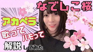 なでしこ桜をアカペラで歌ってハモリも重ねてみた。【和楽器バンドボーカル】