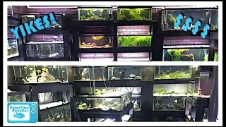 How Much Does it Cost To Build A Fish Room??