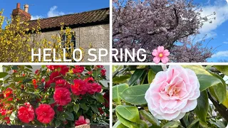 Hello spring 🌸