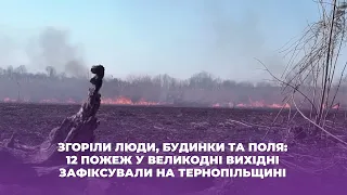 Згоріли люди, будинки та поля: 12 пожеж у великодні вихідні зафіксували на Тернопільщині