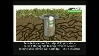 Aggro presents The Advance Termite Baiting System by BASF