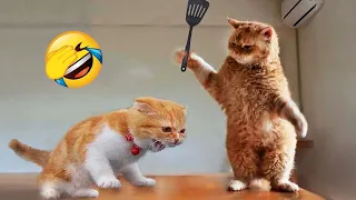 Funniest Animals 2023 😂 New Funny Cats and Dogs Videos 😹🐶 Part 8